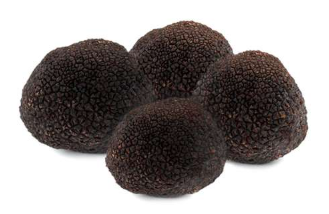 QU'EST-CE QUE LA TRUFFE NOIRE DE TERUEL ?